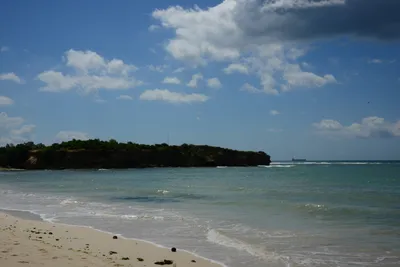 DSC_7653 (Large).JPG